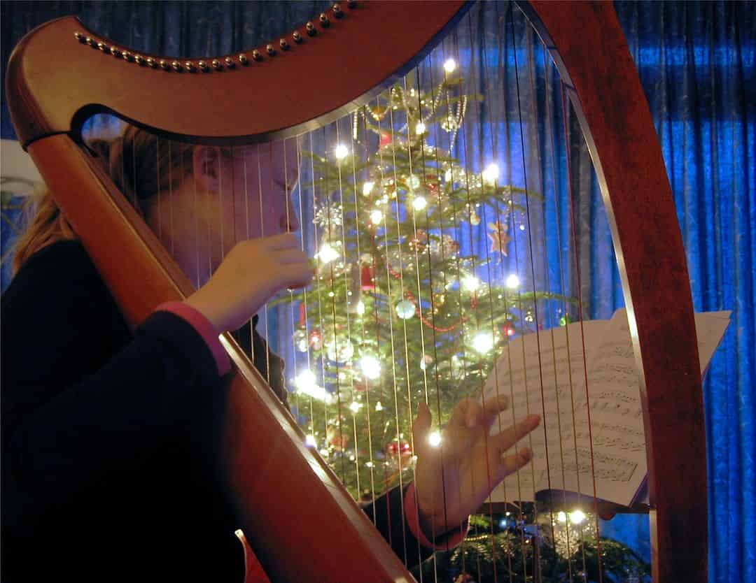 Gianluca Rey harp player